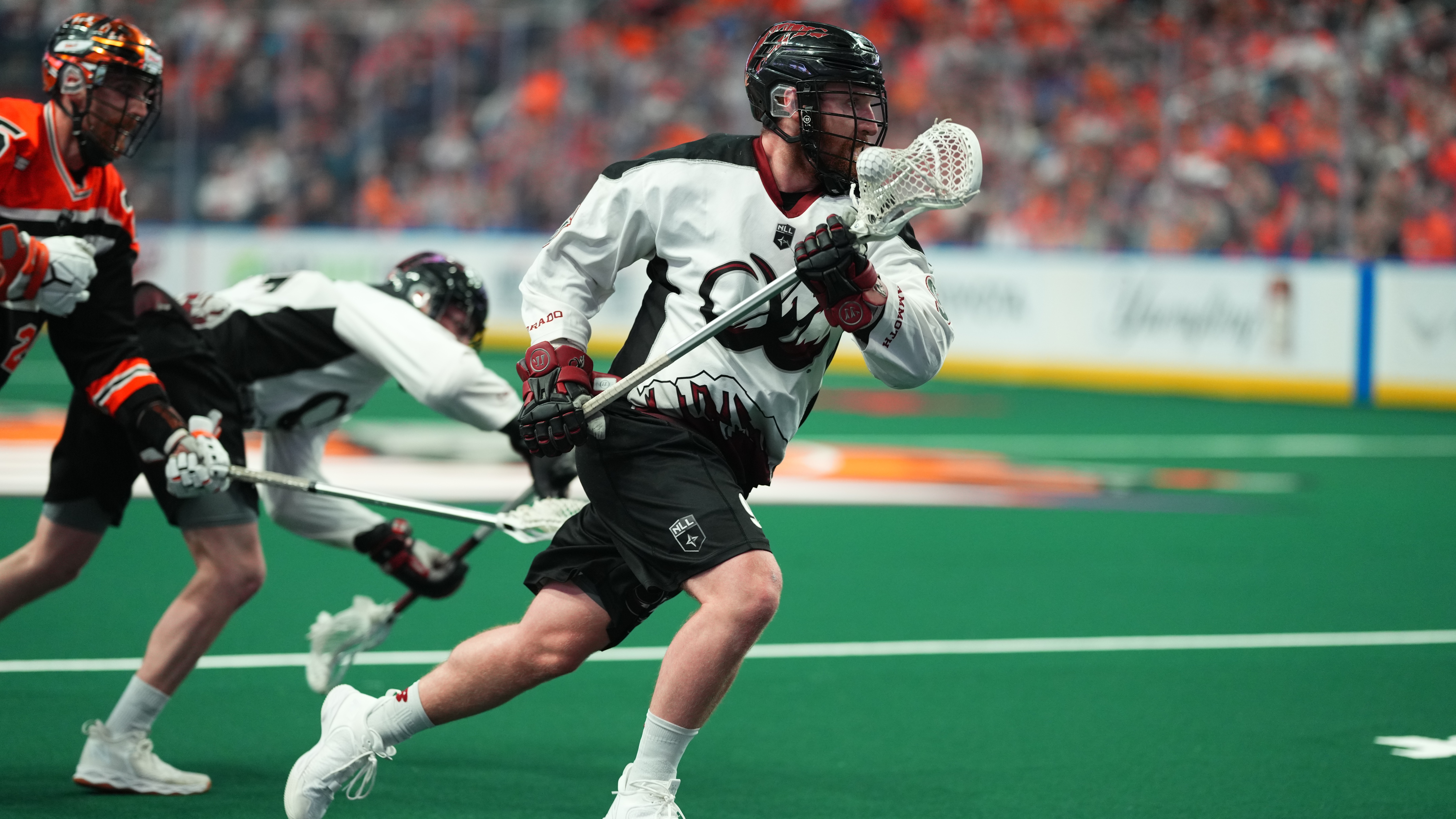 Buffalo Preview